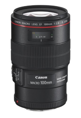 30 Le migliori recensioni di Canon 100 Macro testate e qualificate con guida all’acquisto
