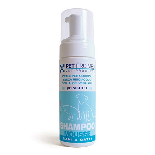 30 Le migliori recensioni di Shampoo Secco Cani testate e qualificate con guida all’acquisto